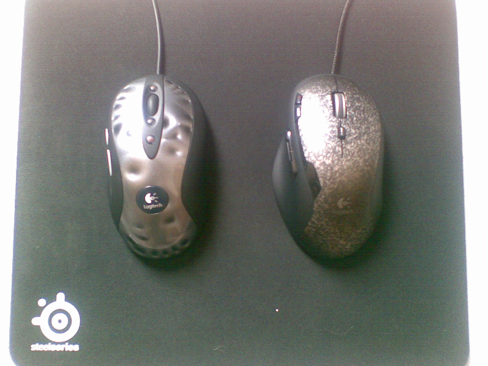 20100905.jpg