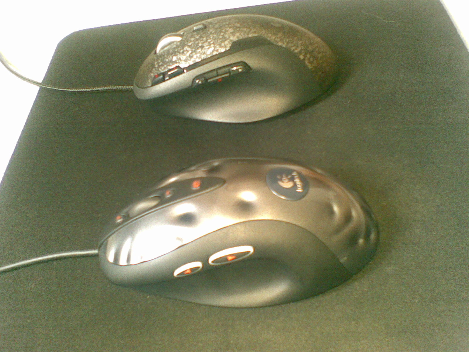20100905(001).jpg
