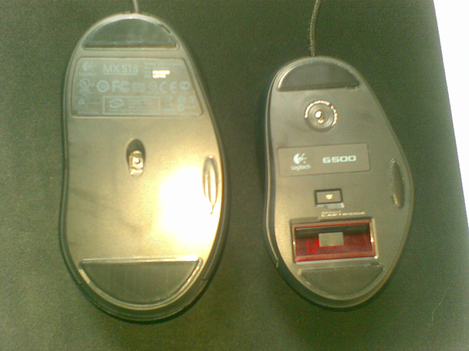 20100905(002).jpg