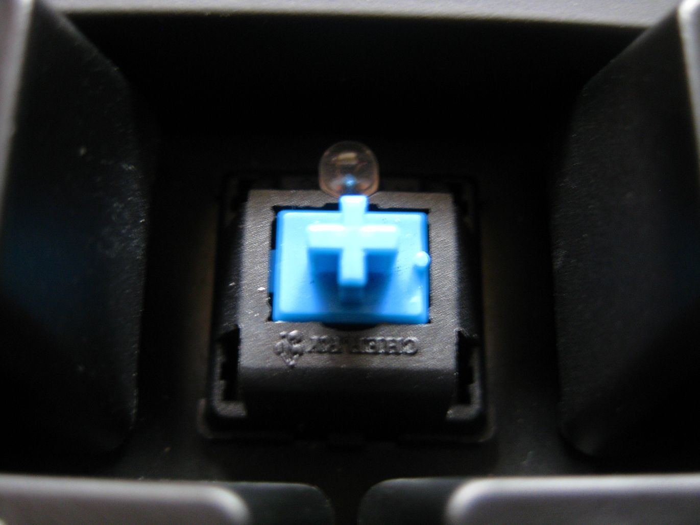img0315lk.jpg
