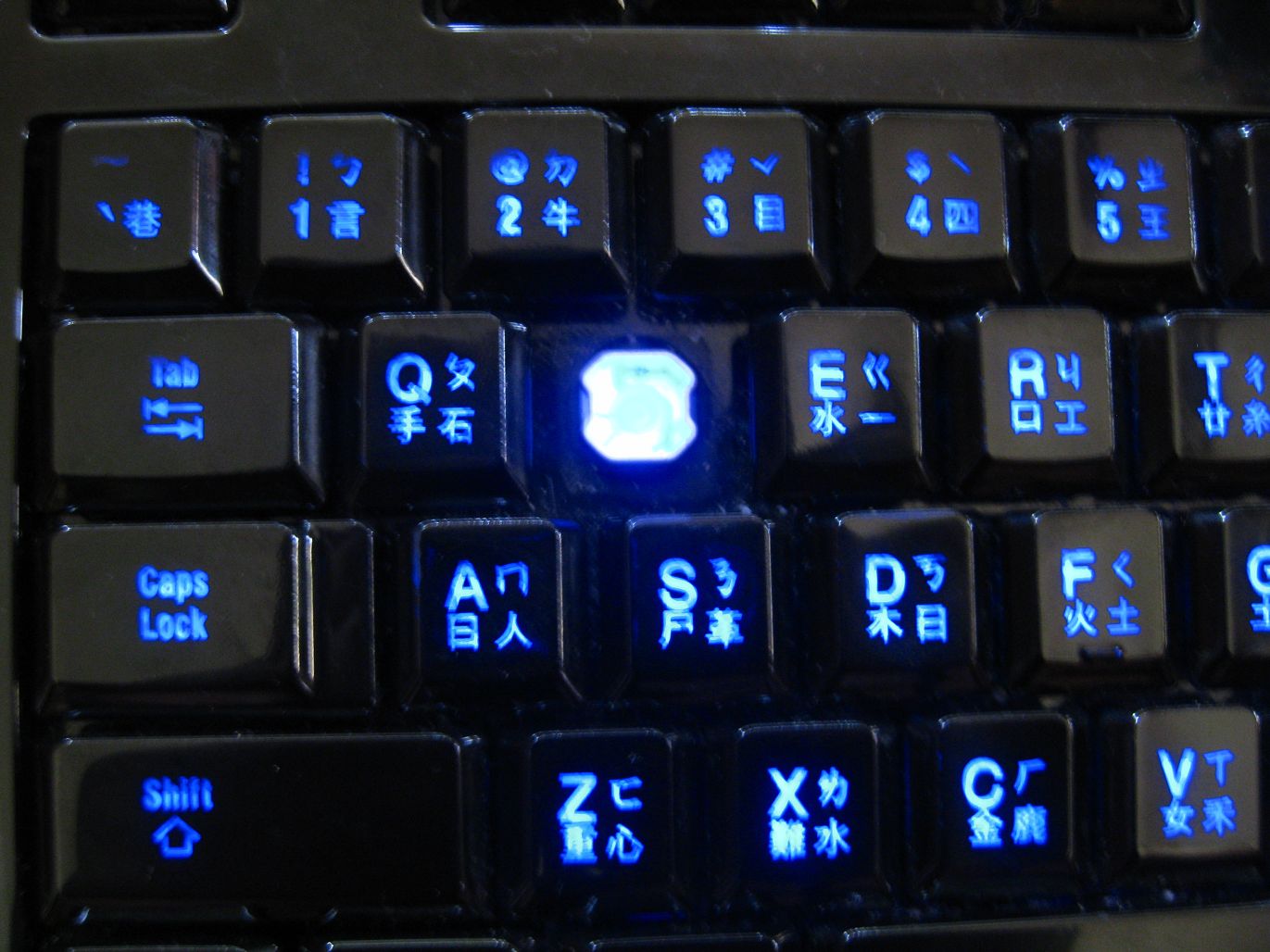 img0341p.jpg