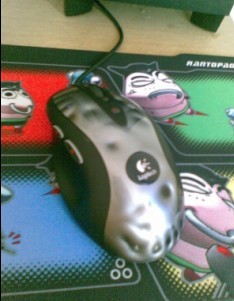 ���߷�������Ϣ��