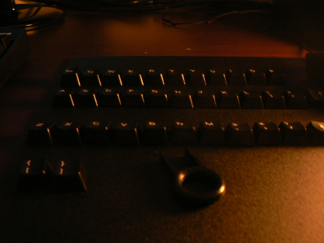 P1080033.JPG