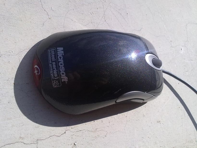20100909045.jpg