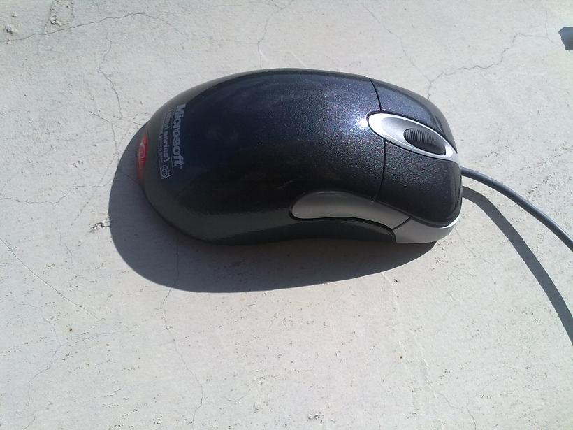 20100909044.jpg