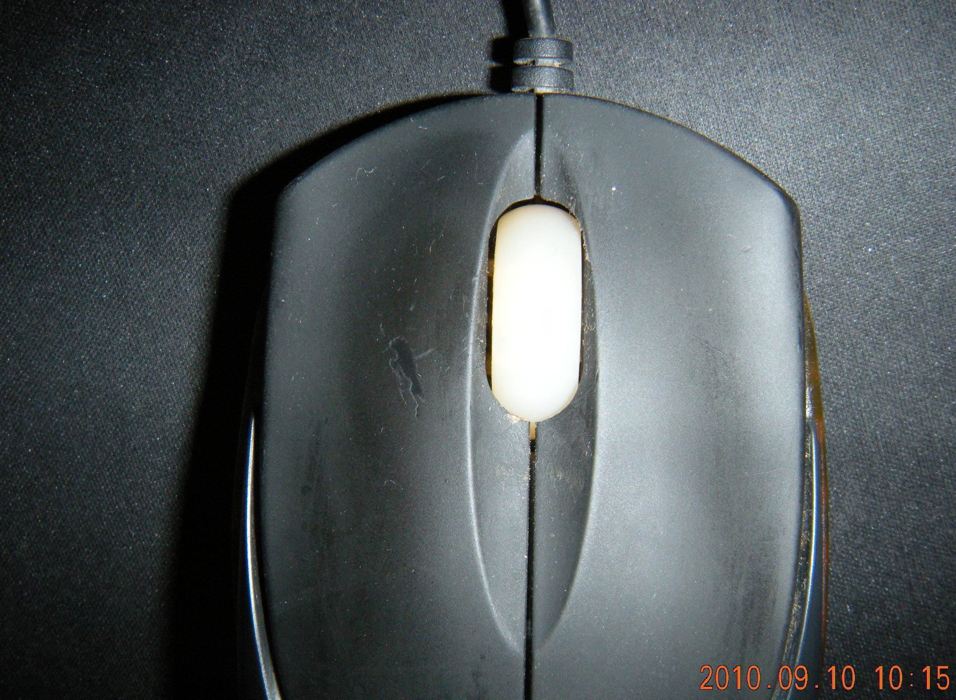 5.JPG