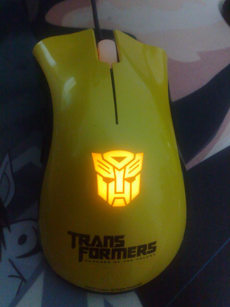 201009101170.jpg