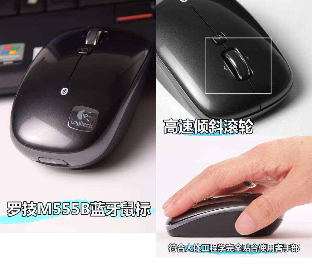 g8yiiz0c3r8ns.jpg