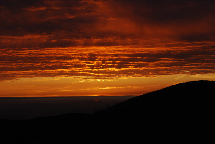 DSC_0323.jpg