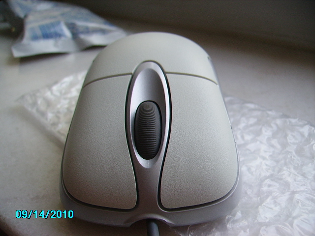 PICT0841.JPG