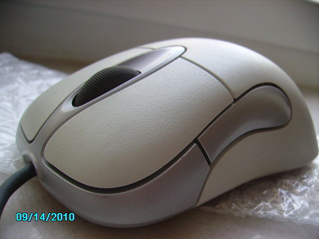 PICT0842.JPG