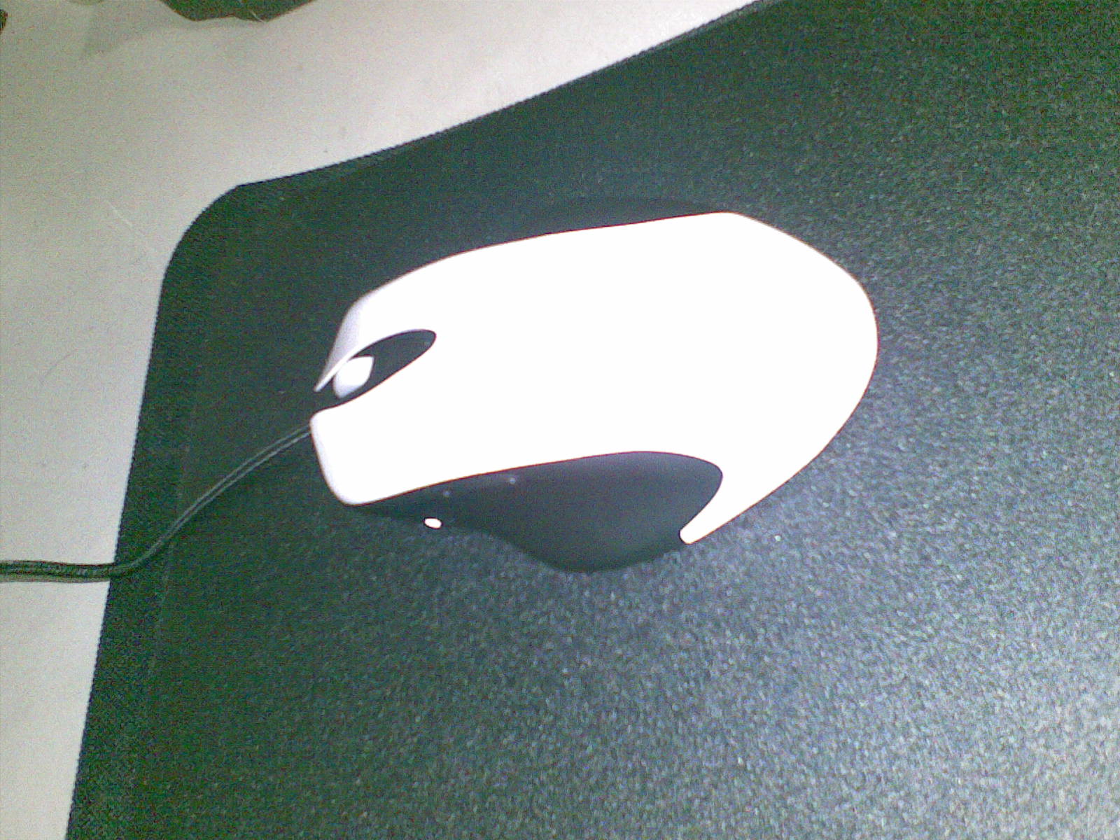 20100914.jpg