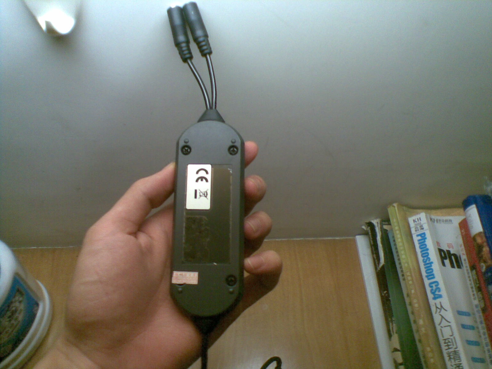 20100916(017).jpg
