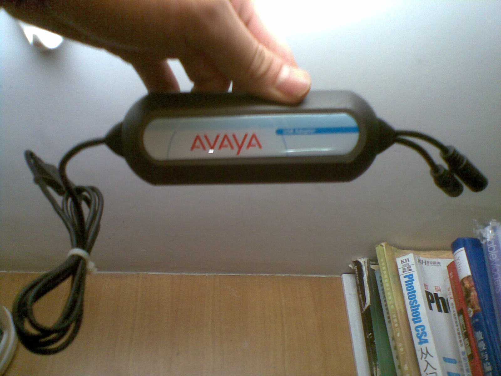 20100916(016).jpg