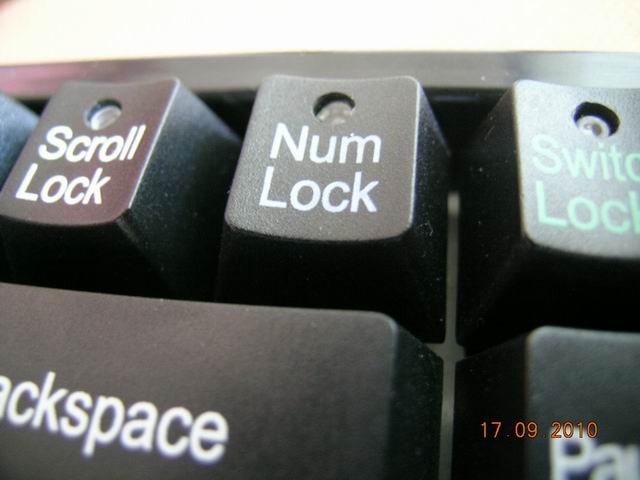 5.JPG
