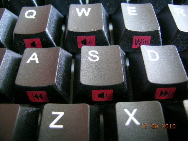 3.JPG