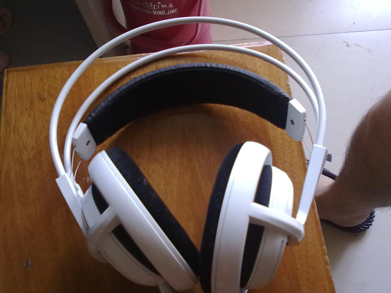 20100918494.jpg