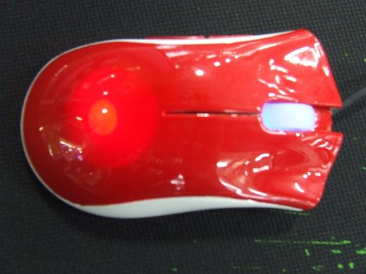 DSCF6731.JPG