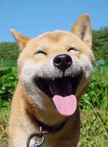 ����ʺ��Լ������
