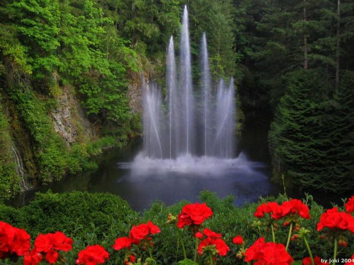 ��������������ɫ�߽��룡