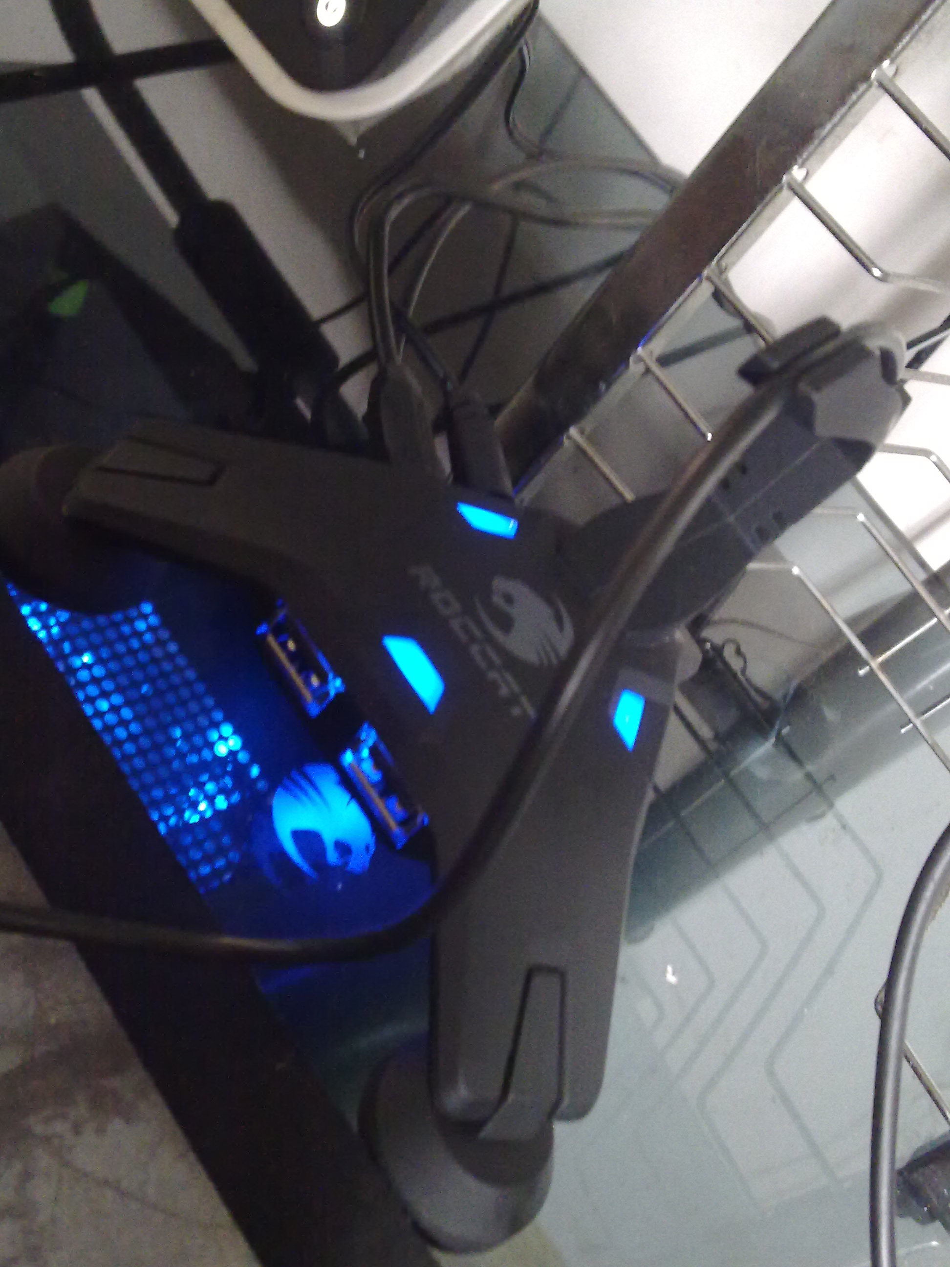 20100919719.jpg