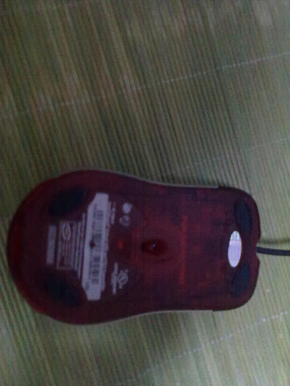 20100923273.jpg