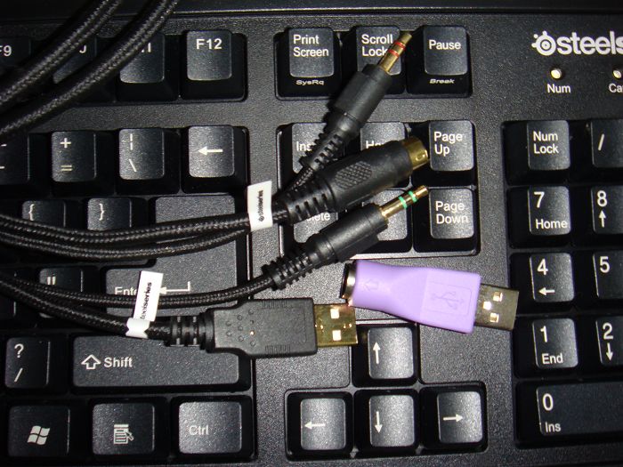 nEO_IMG_DSC05772.jpg