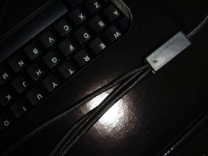 nEO_IMG_DSC05781.jpg