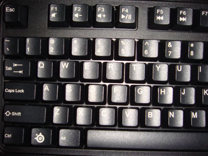 nEO_IMG_DSC05770.jpg