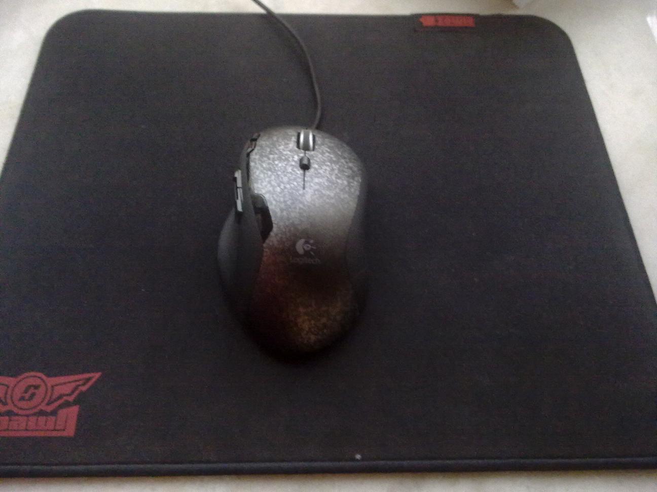 20100925073.jpg