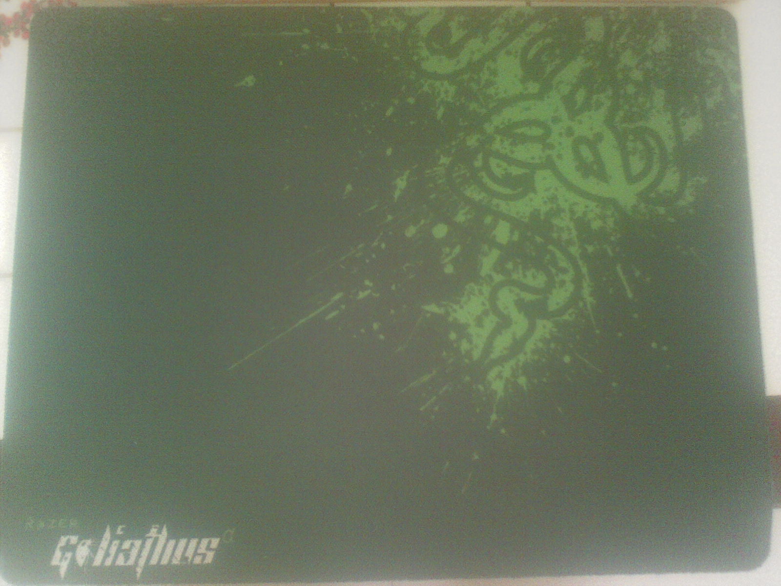 20100927.jpg
