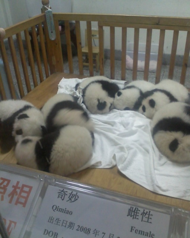 �ǣ�ע��߶ȡ����������顣��