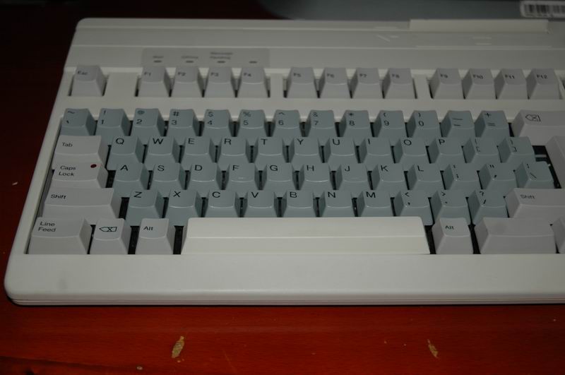 DSC_2427.JPG