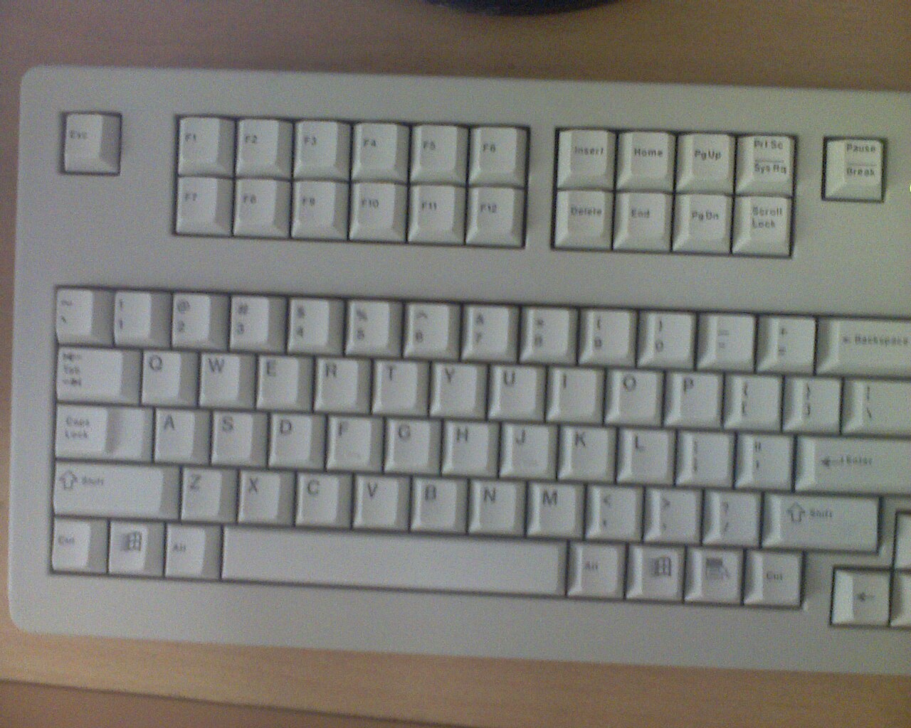 [�ѽ��] G81-1822/1800 �ļ�ñ������ G80-11900 ����