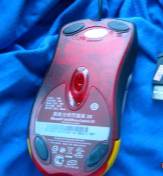 222.jpg