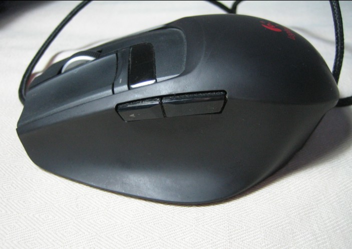 113.jpg
