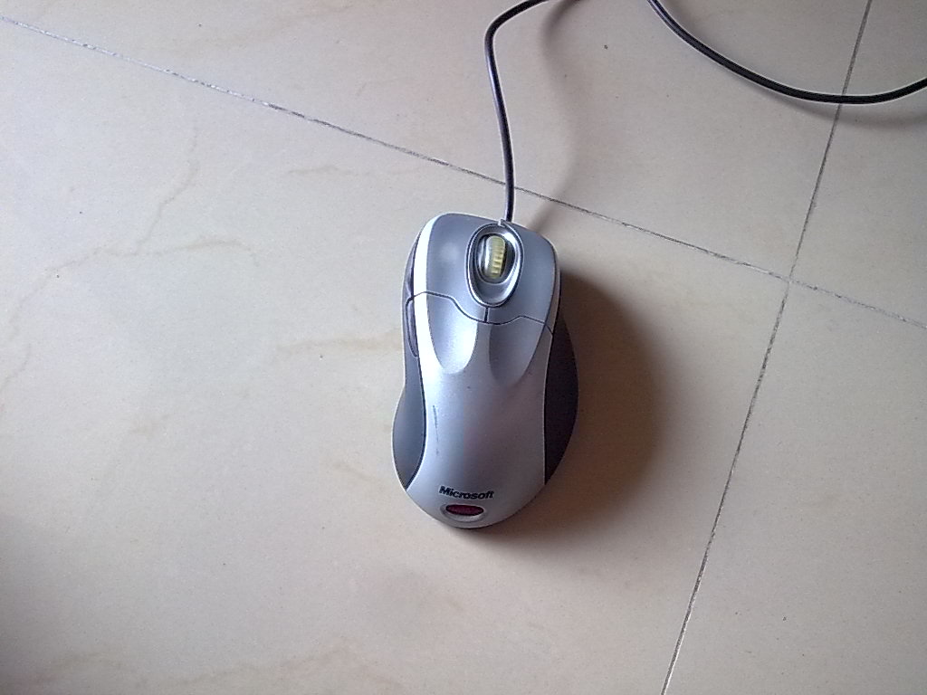 �������� ���ߣ�IE 4.0���Լ�������ŷķ��΢���� ����ɫ ������