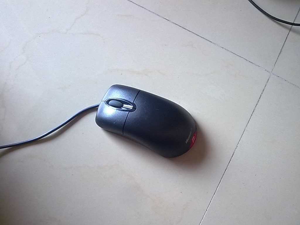 �������� ���ߣ�IE 4.0���Լ�������ŷķ��΢���� ����ɫ ������