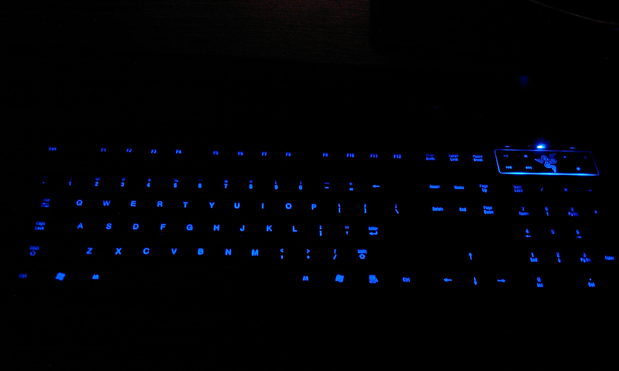 IMAG0070.jpg