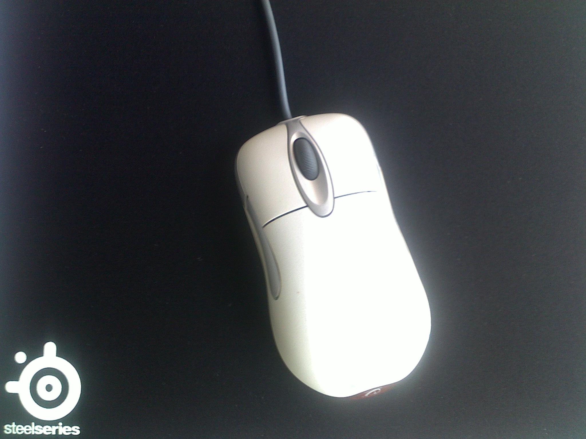 20101004009.jpg