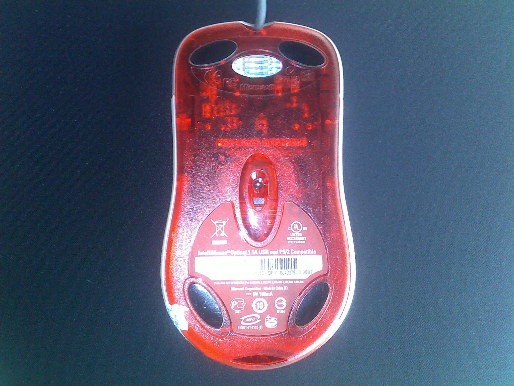 20101004006.jpg