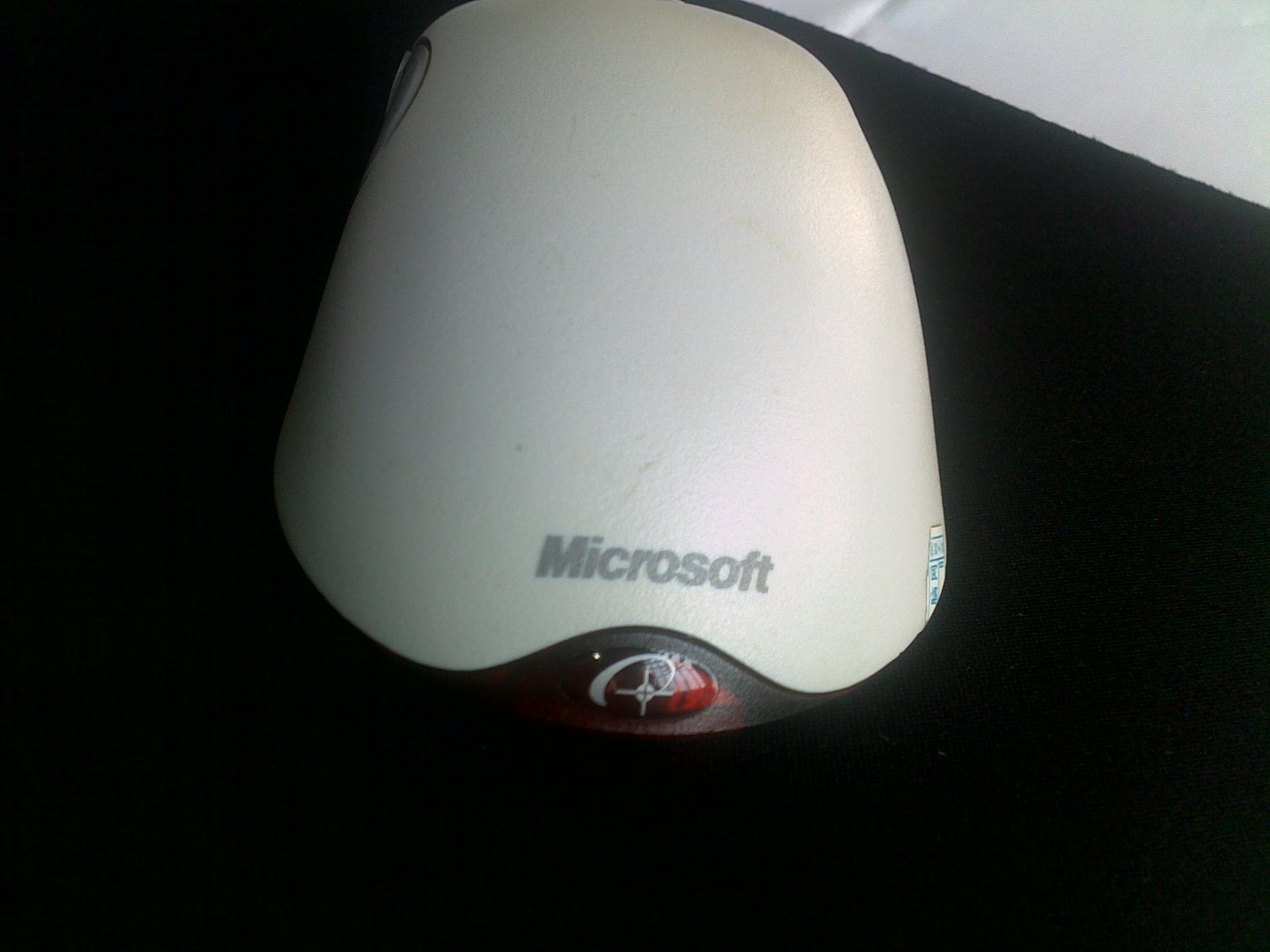 20101004004.jpg