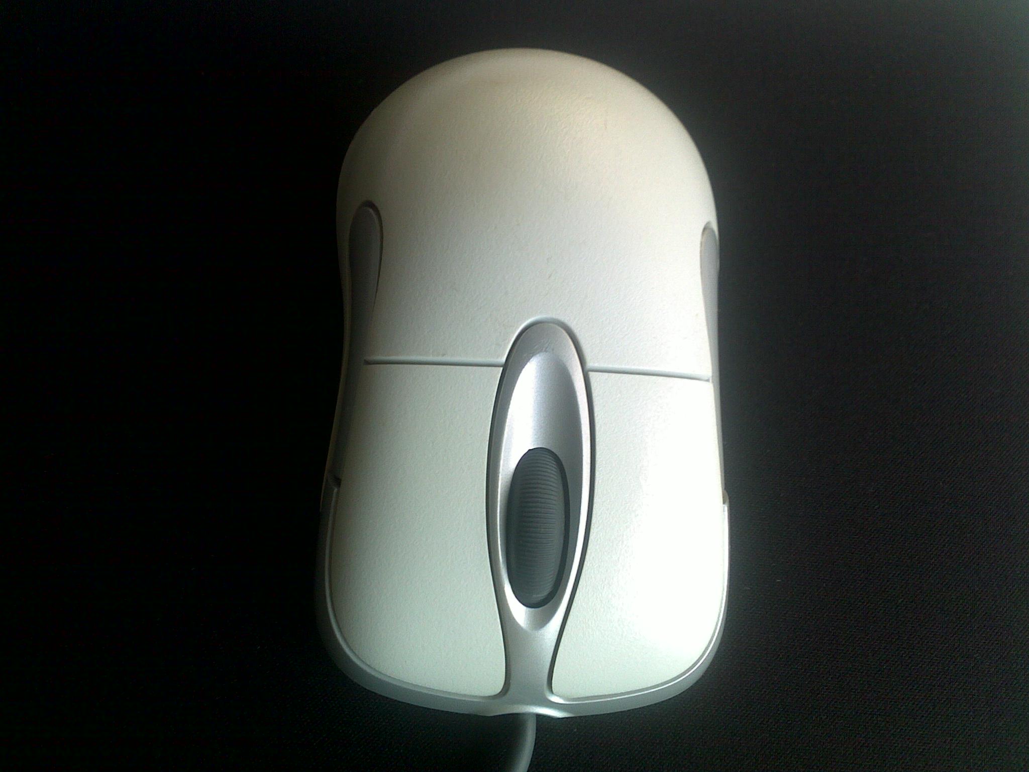 20101004003.jpg