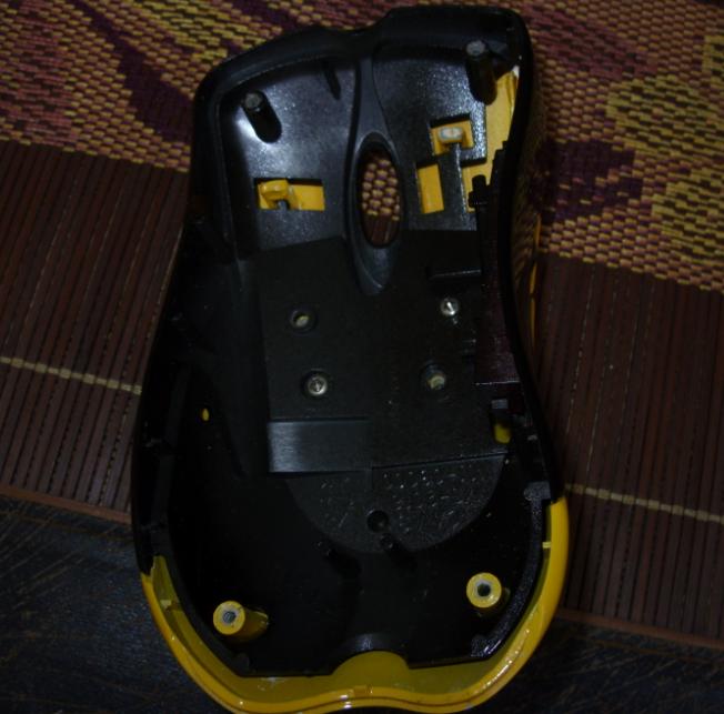 p5.jpg