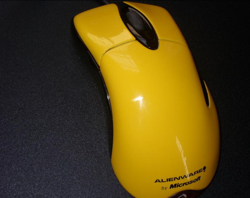 p4.jpg