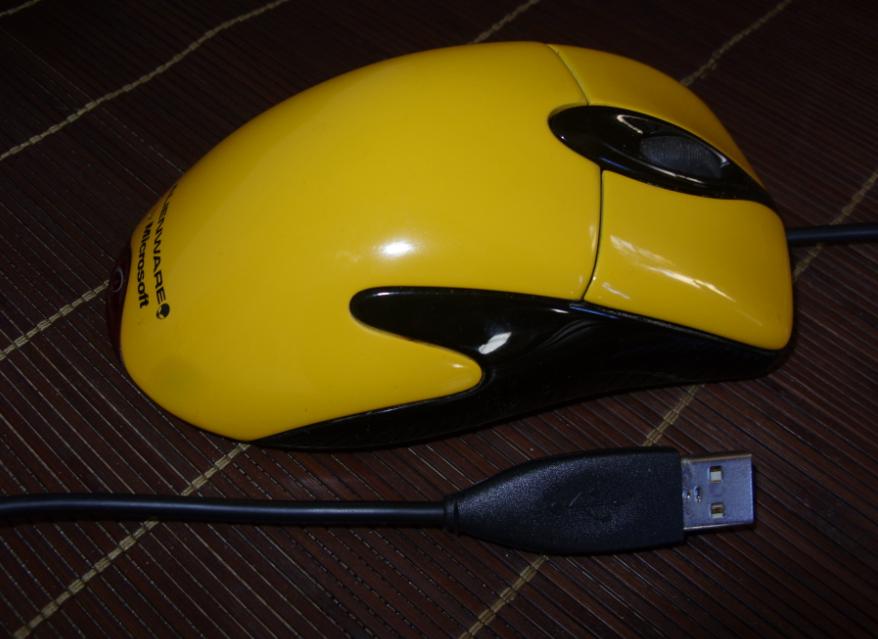 p7.jpg