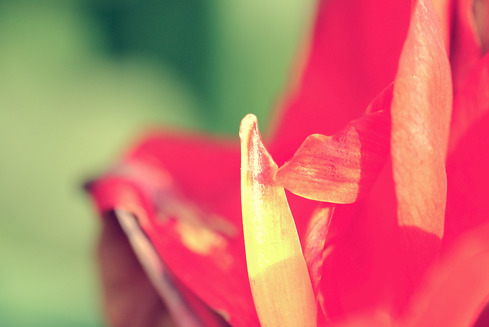 �ڽ��״γ���С����ͼ���ţ���������