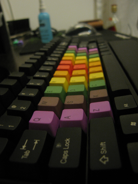 ���� KBC�ʺ�33��PBT