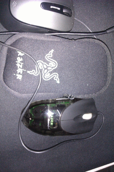 IMAG0152.jpg