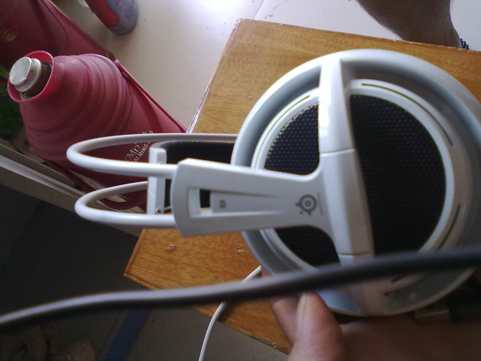 20100918496.jpg
